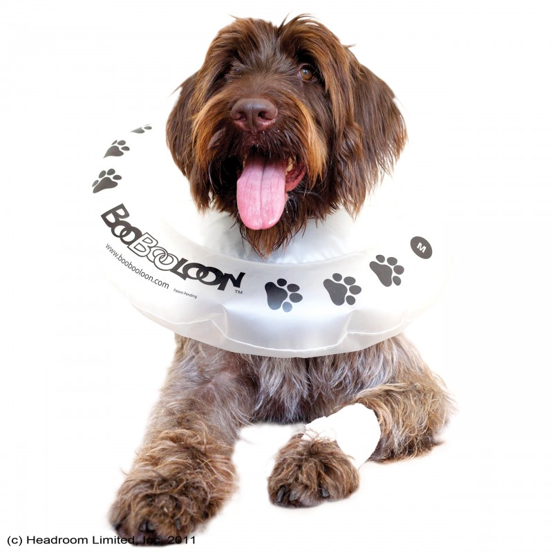 Boobooloon Dog Collar Boobooloon Dog Collar