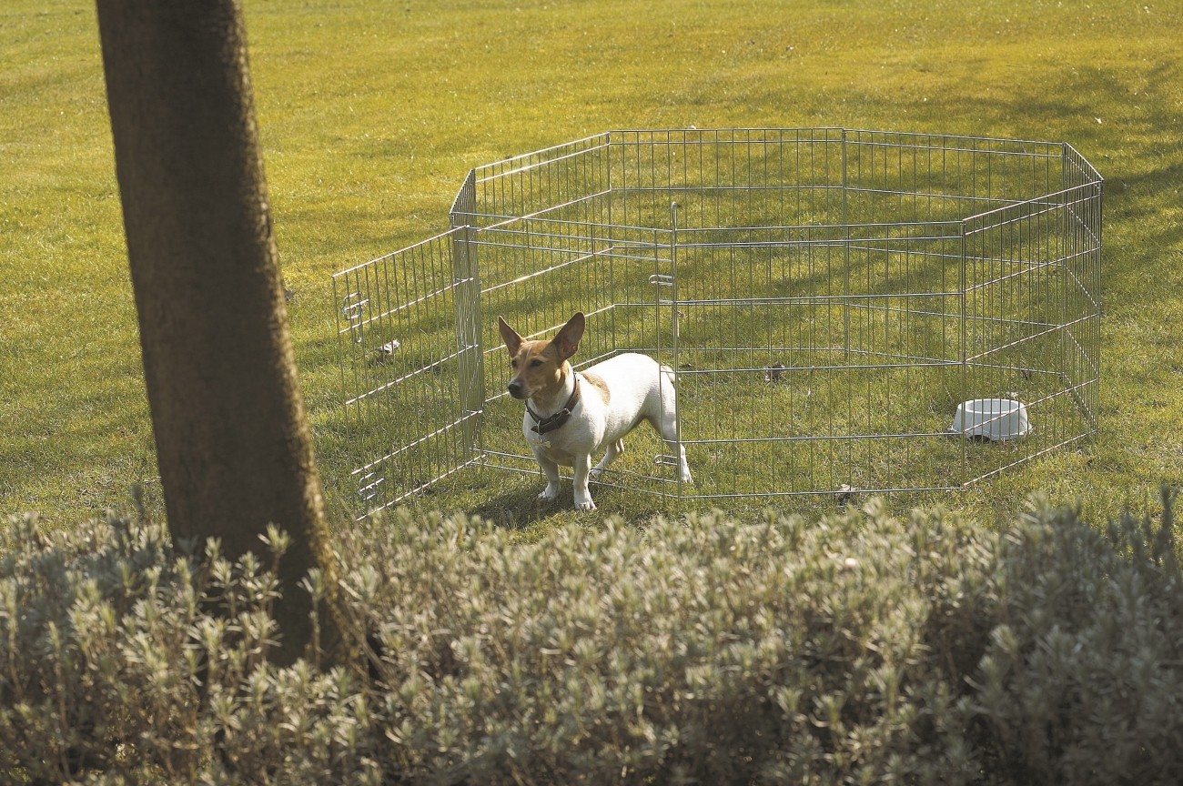 Recinzioni per cani da giardino: recinto giardino per cani box ...