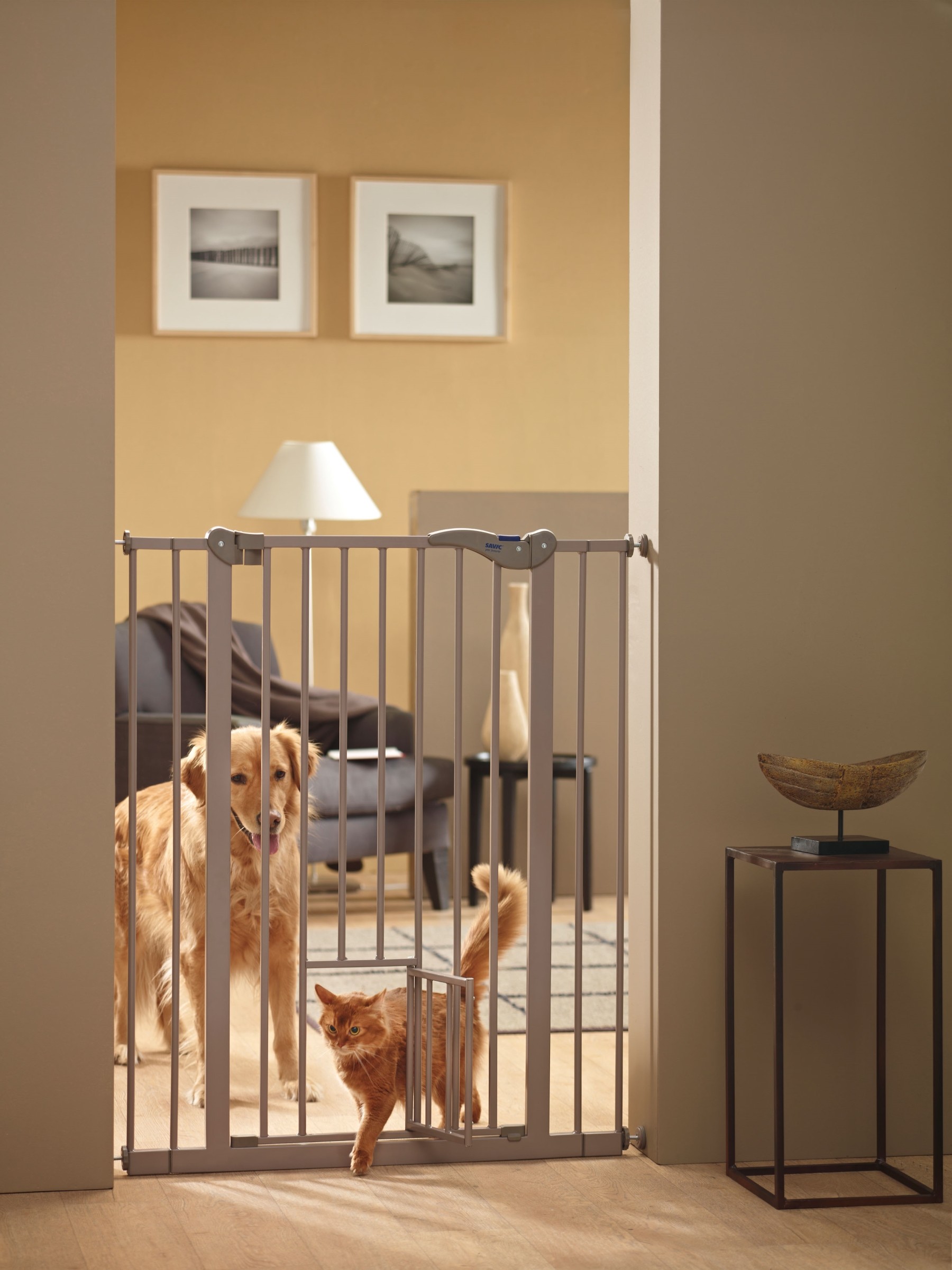 Cancelletti per cani da interno e da esterno animalmania Sistemi per separazione ambienti interni