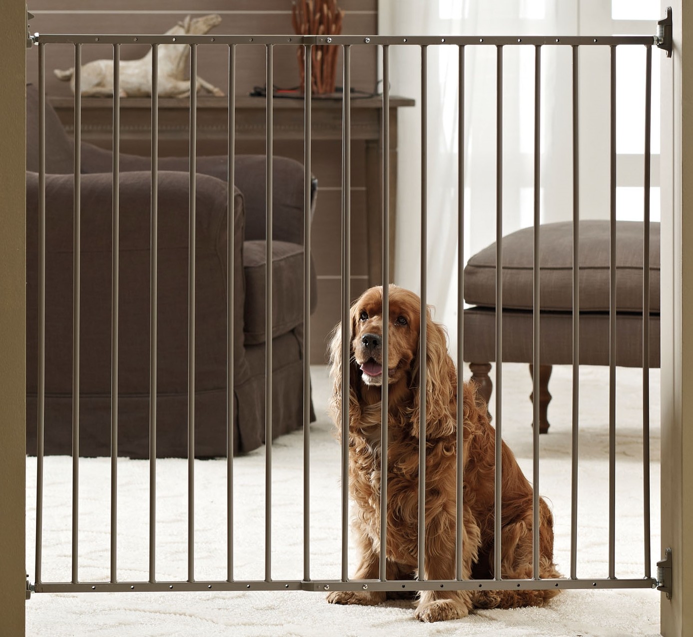 Cancelletti per cani da interno e da esterno animalmania