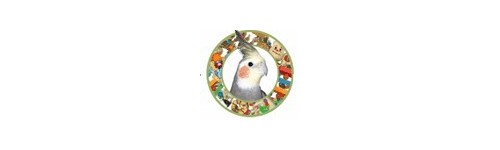 Giochi da Masticare