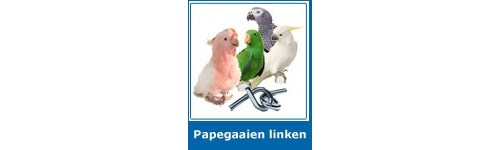 Pappagalli