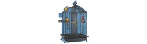 Voliere King's Powder Coated