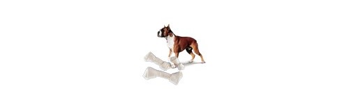 Alimenti per Cani