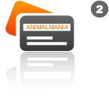 Pubblicazione banner Pubblicazione banner